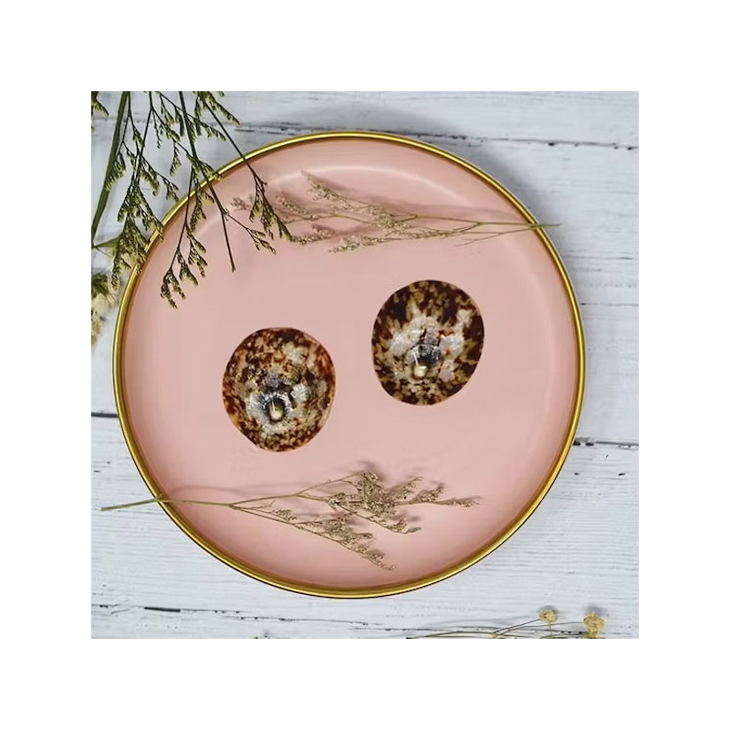 Coquillage d'allaitement mammaire - Tous nos produits