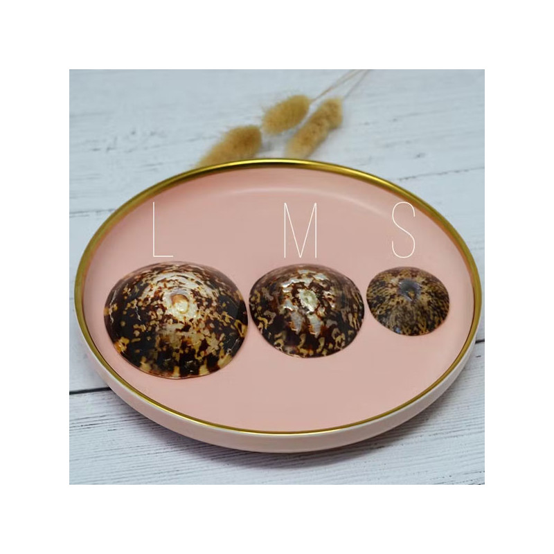 Coquillage d'allaitement mammaire - Tous nos produits